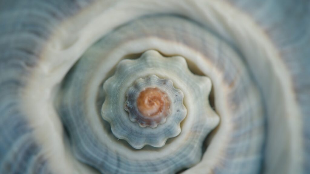 Wende - Vollmond am 11.6.2025