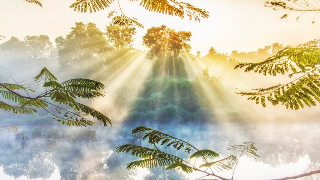 Sonnwende am 21 Juni 2025